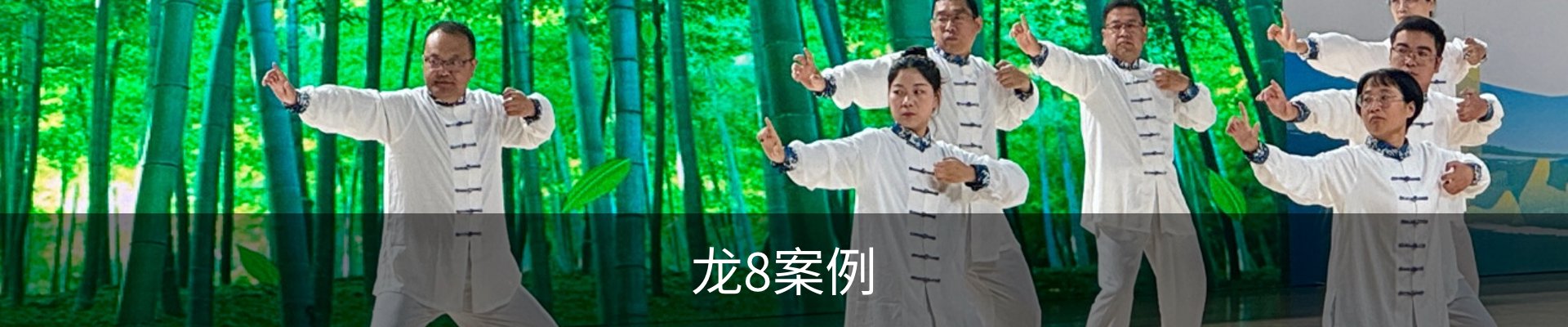 龙8案例