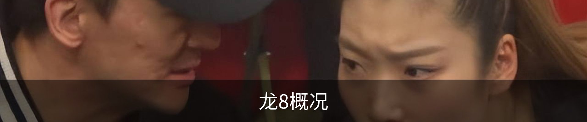 龙8概况
